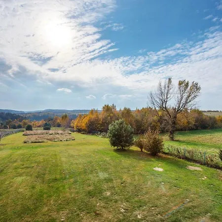 Villa Dom W Grodzisku Skala